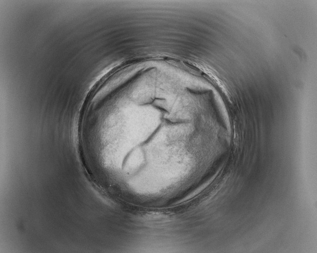 X0000116640390201001041035