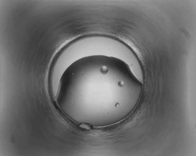 X0000116640391201001041035