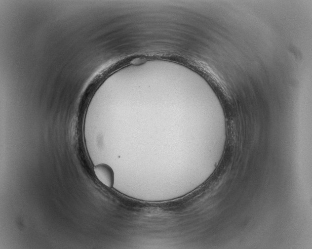 X0000116640392201001041035