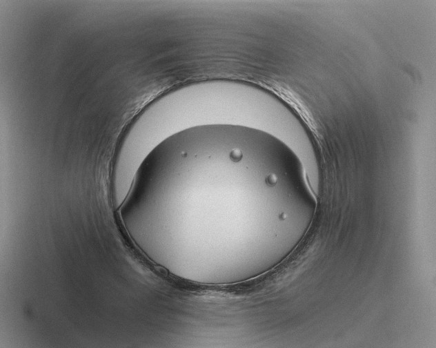 X0000116640393201001041035