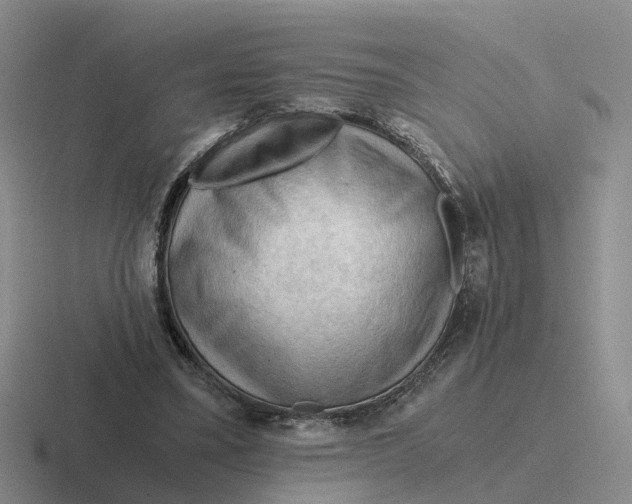 X0000116640395201001041035