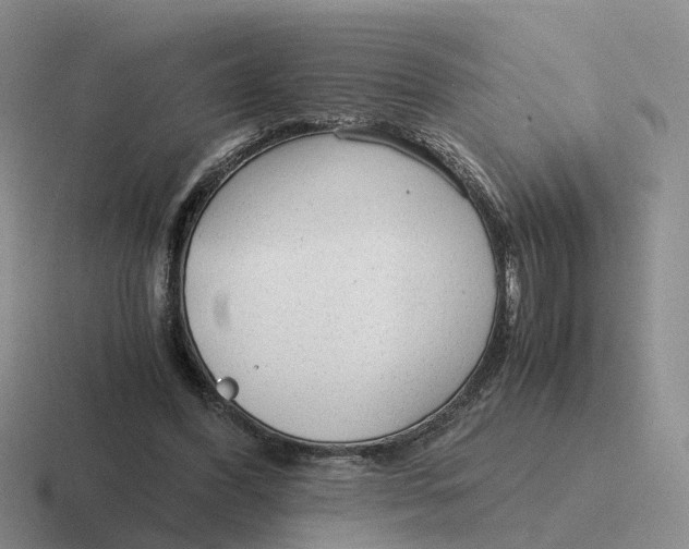 X0000116640396201001041035