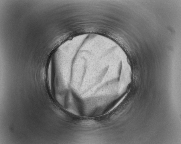 X0000116640397201001041035