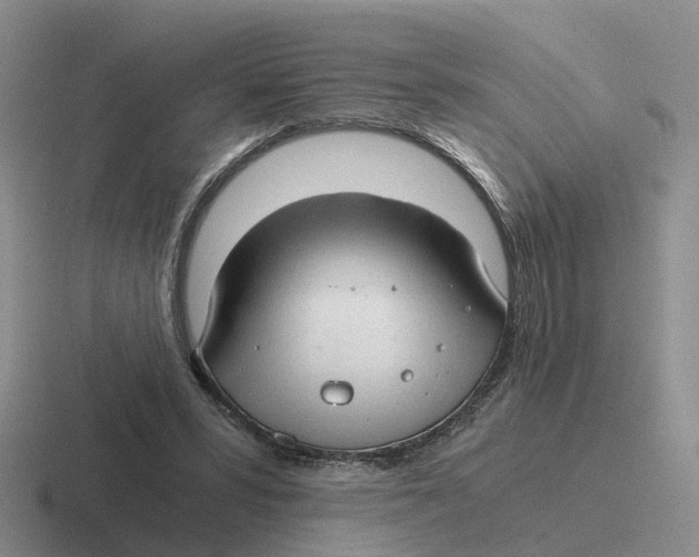 X0000116640399201001041035