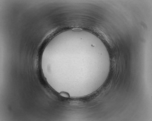 X0000116640400201001041035