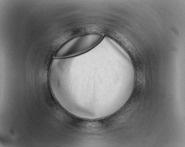 X0000116640401201001041035