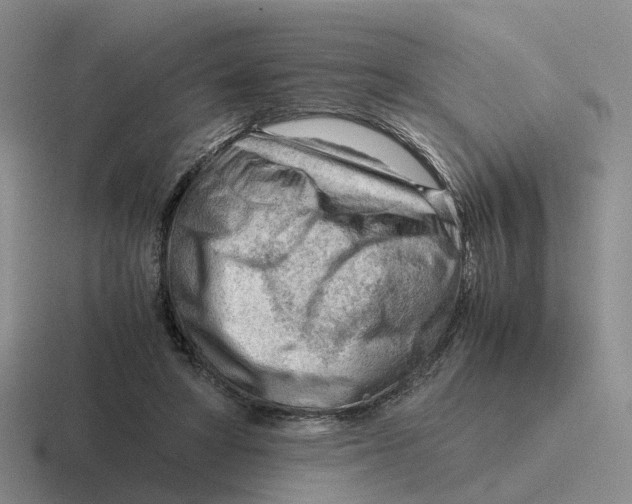 X0000116640402201001041035