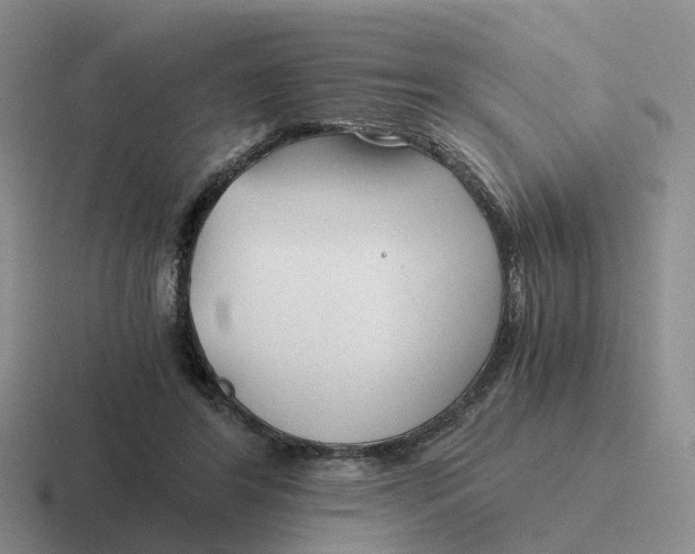 X0000116640404201001041035