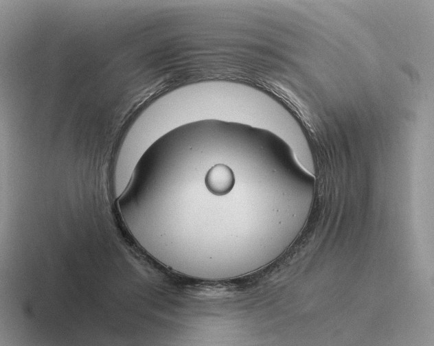 X0000116640405201001041035