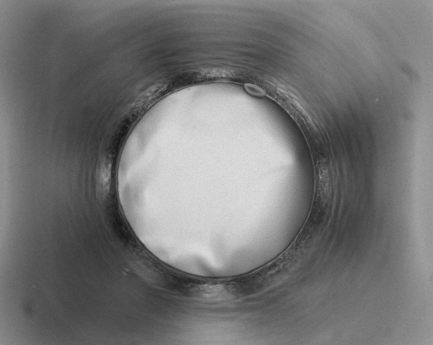 X0000116640406201001041035