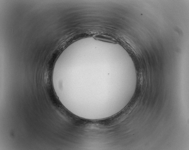 X0000116640408201001041035