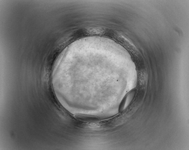 X0000116640409201001041035