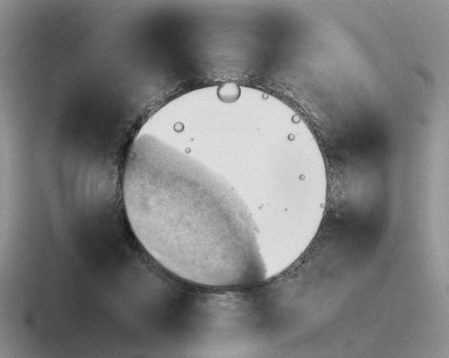 X0000116640411201001041035