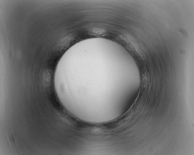 X0000116640412201001041035