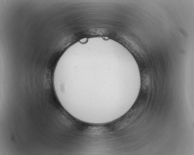 X0000116640414201001041035