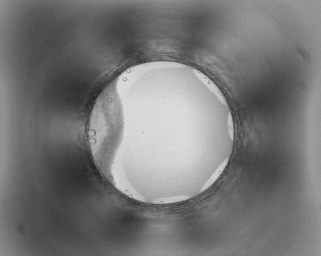 X0000116640415201001041035