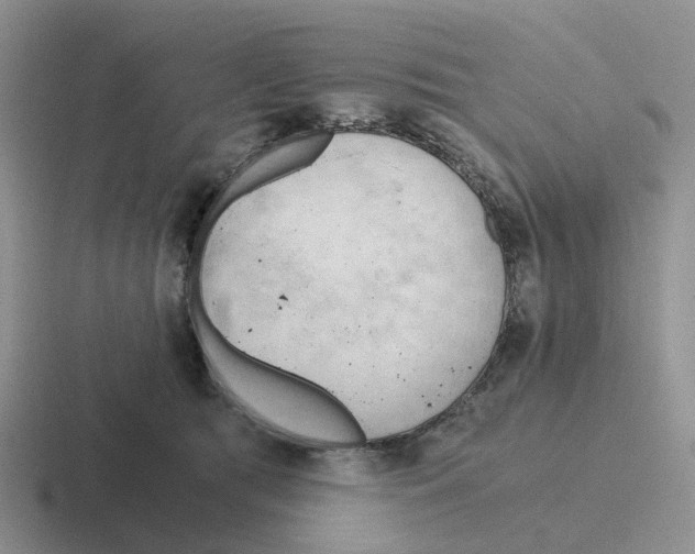 X0000116640417201001041034