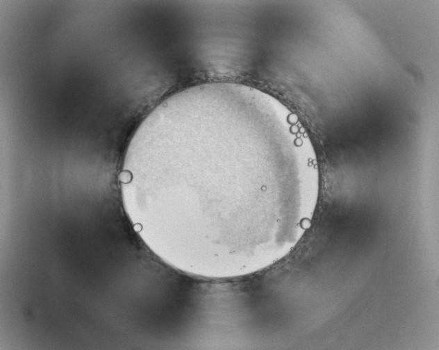 X0000116640419201001041034