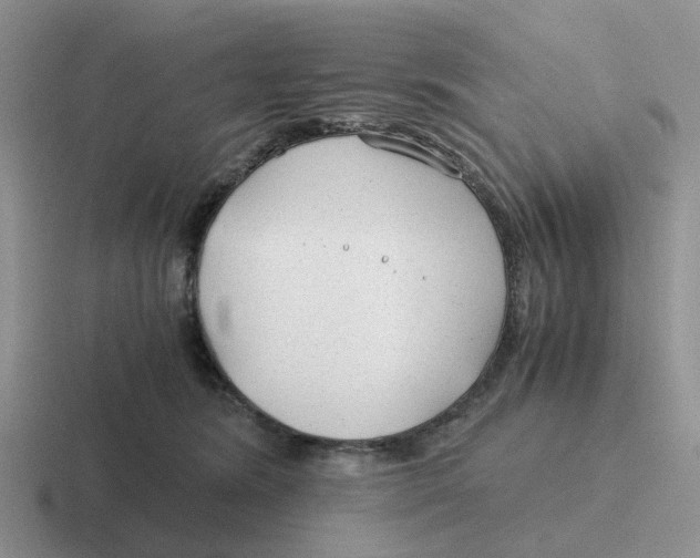 X0000116640420201001041034