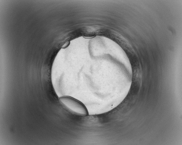 X0000116640421201001041034