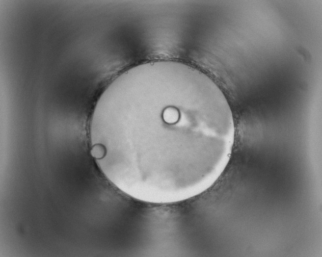 X0000116640423201001041034