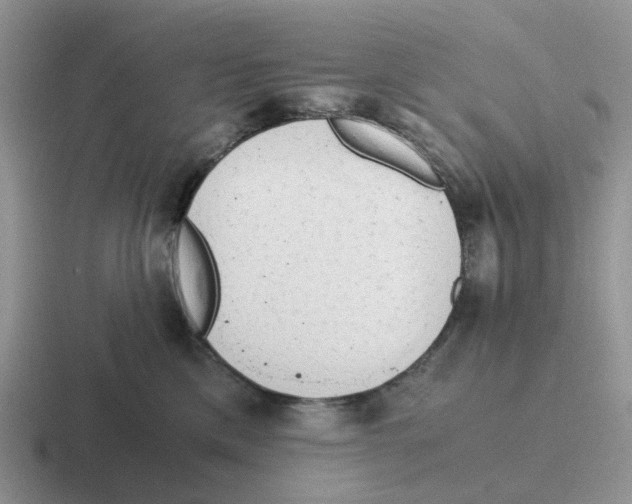 X0000116640425201001041034