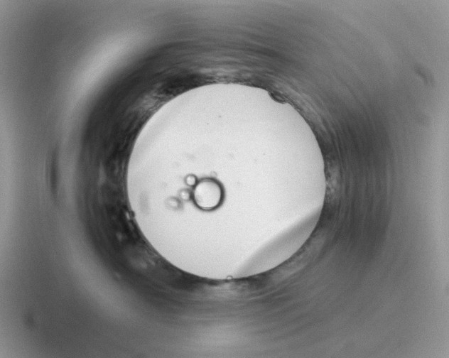 X0000116640430201001041034