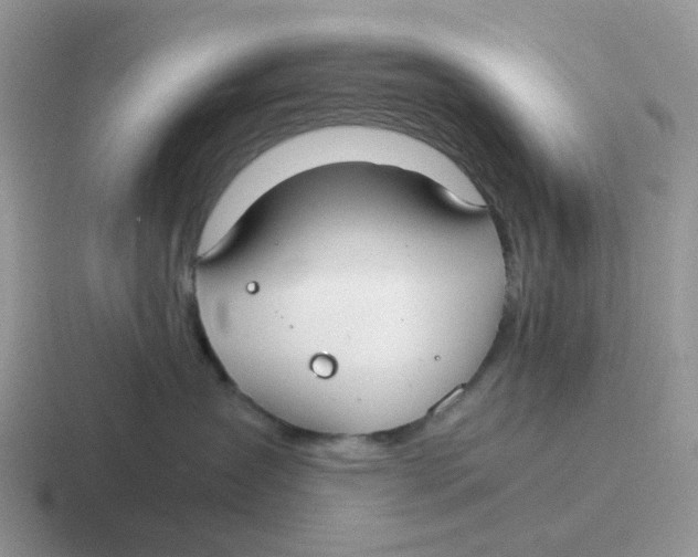 X0000116640431201001041034