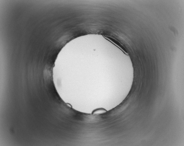 X0000116640432201001041034