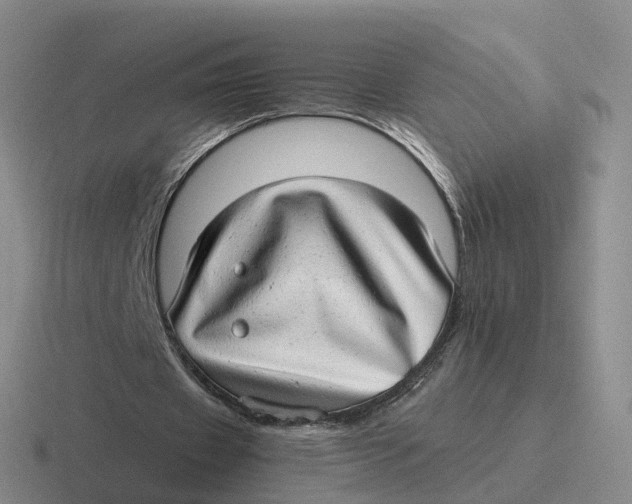 X0000116640433201001041034