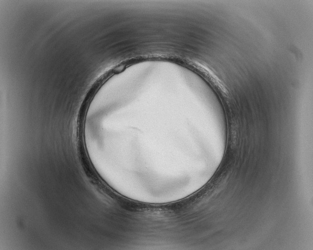 X0000116640439201001041034