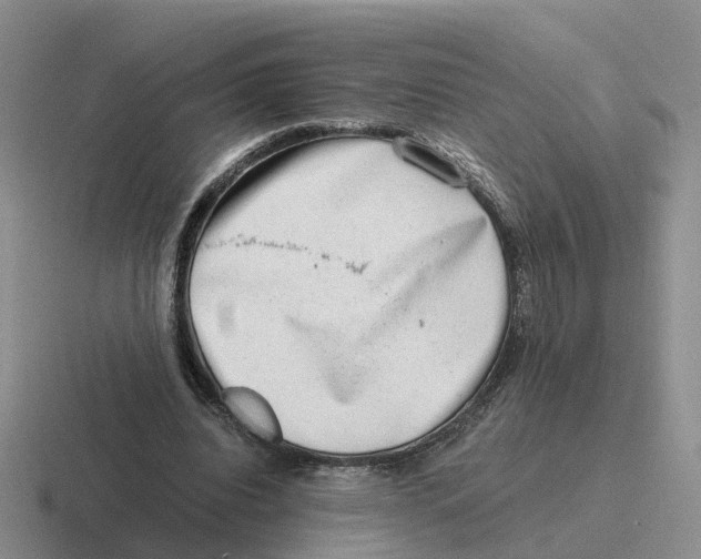 X0000116640440201001041034