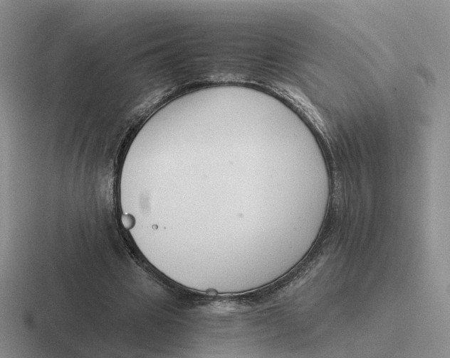 X0000116640441201001041034