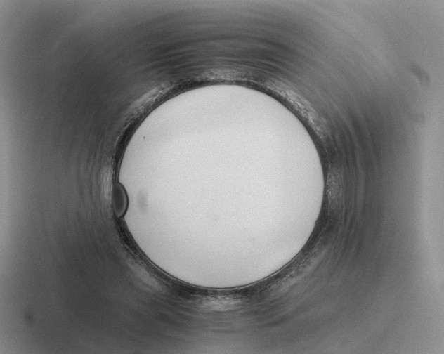 X0000116640445201001041034