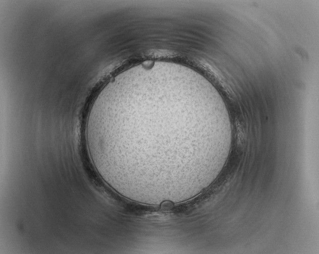 X0000116640447201001041034