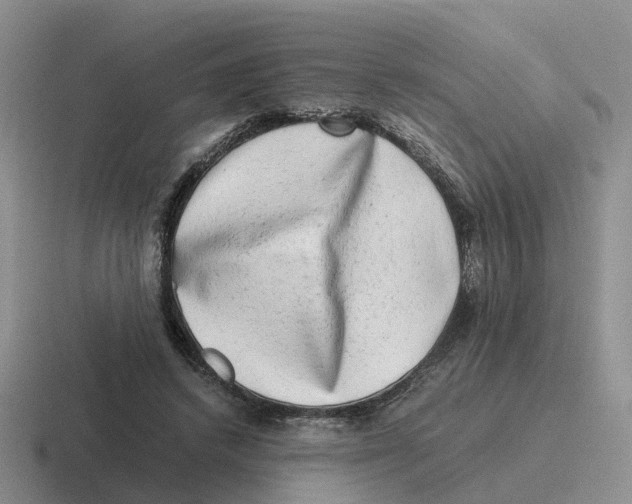 X0000116640448201001041034