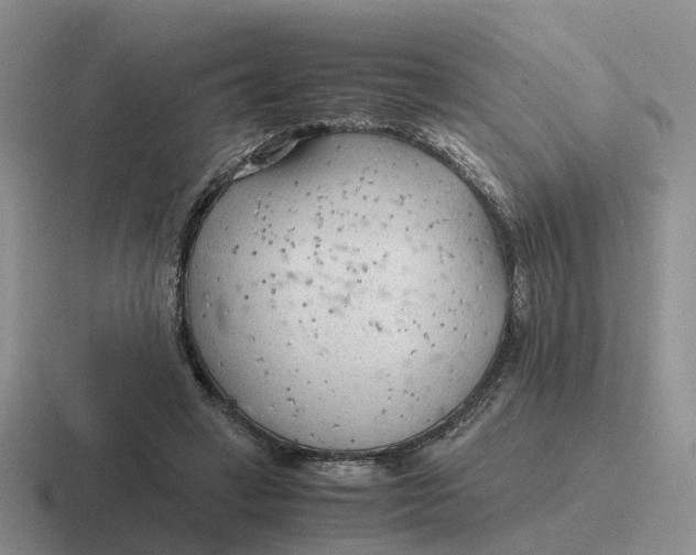 X0000116640449201001041034