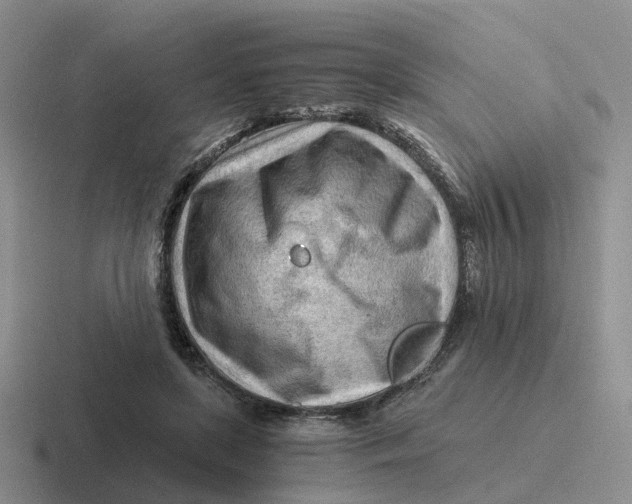 X0000116640451201001041034