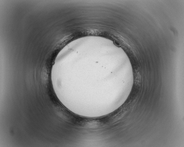 X0000116640456201001041034