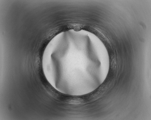 X0000116640459201001041034