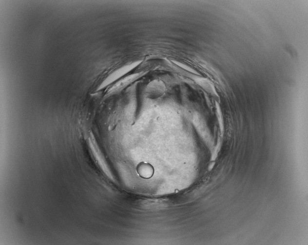 X0000116640465201001041034