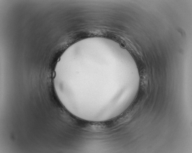 X0000116640466201001041034