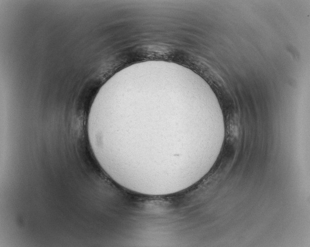 X0000116640468201001041034