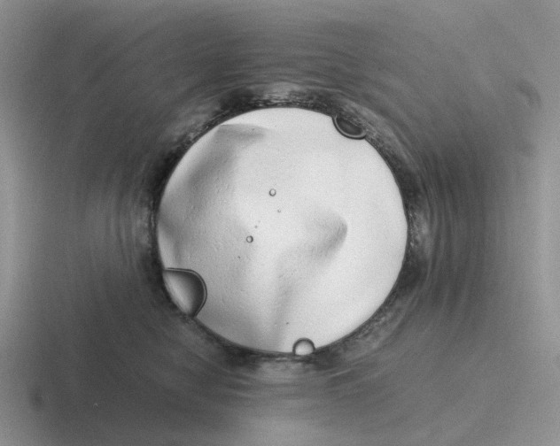 X0000116640470201001041034