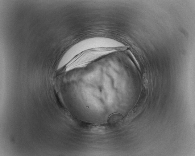 X0000116640471201001041034