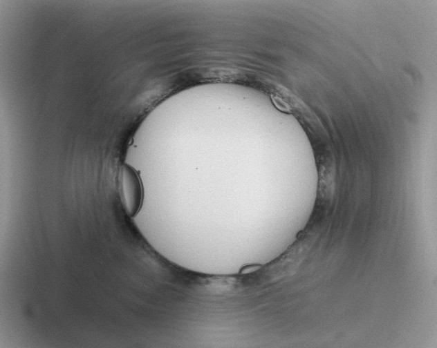 X0000116640474201001041034