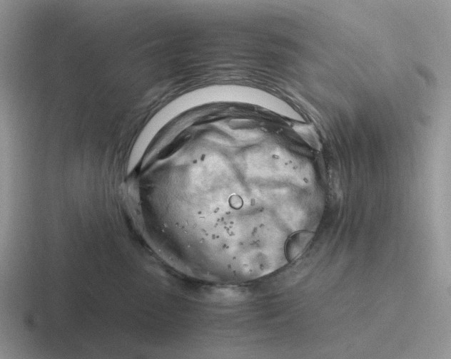 X0000116640475201001041034