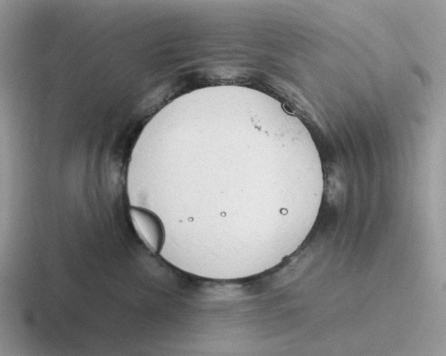 X0000116640476201001041034