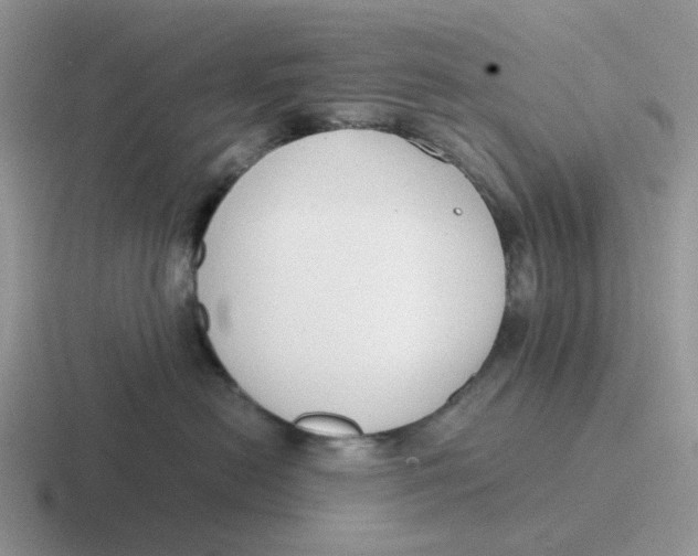 X0000116640478201001041034