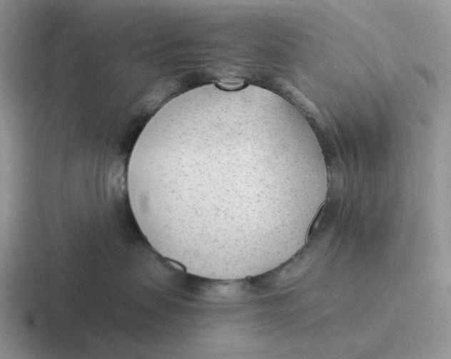 X0000116640479201001041034